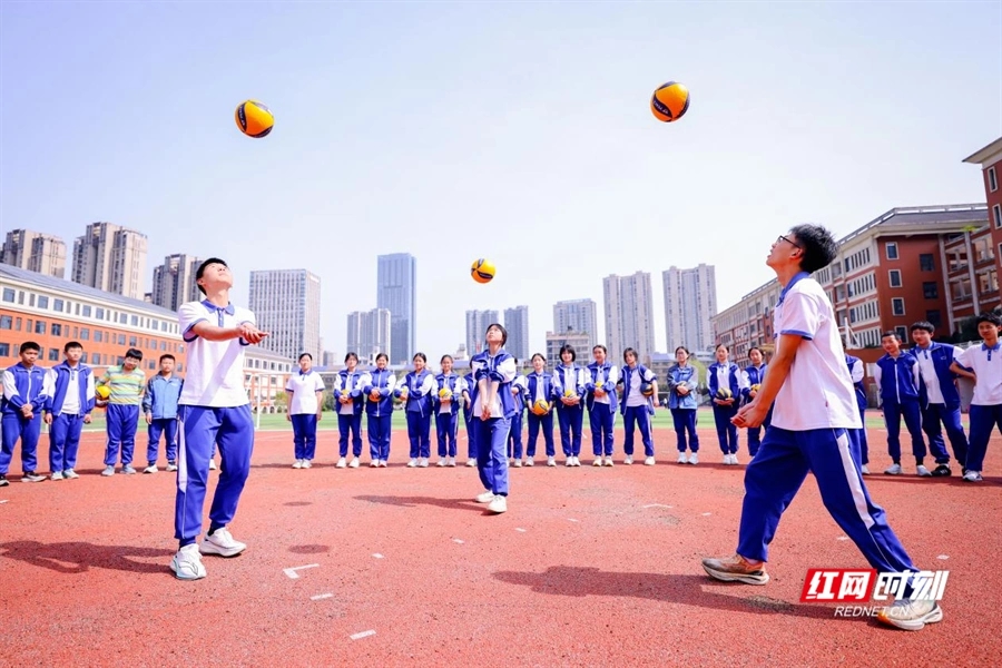 1753759150606674.jpg 8.jpg